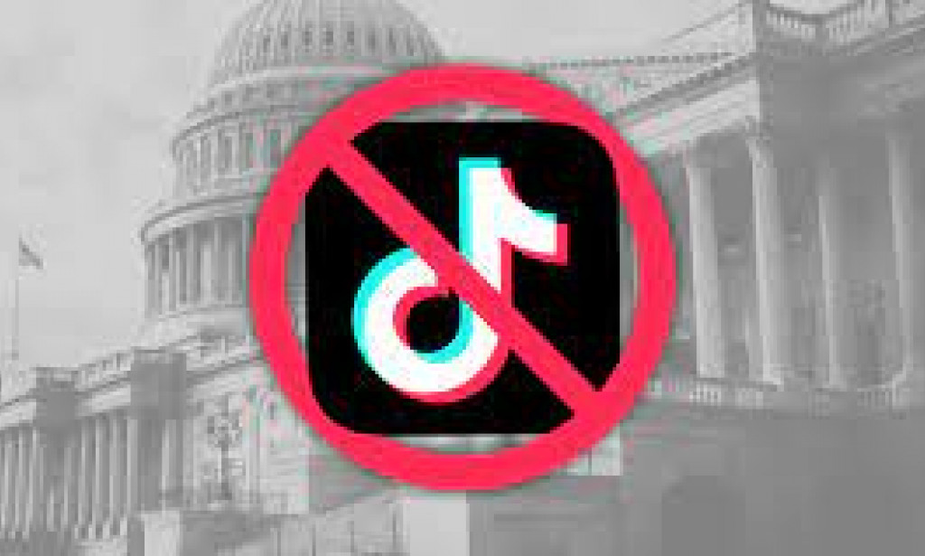 why TIKTOK banned in US